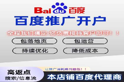百度竞价推广案例：行业领军者成长故事